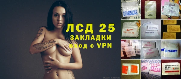 ГАЛЛЮЦИНОГЕННЫЕ ГРИБЫ Вязьма
