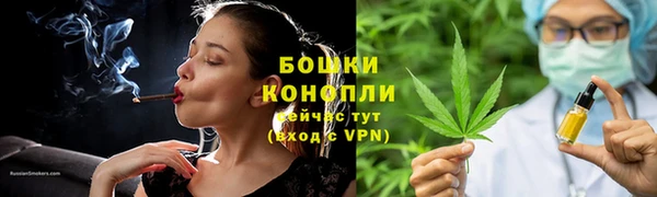 ГАЛЛЮЦИНОГЕННЫЕ ГРИБЫ Вязьма