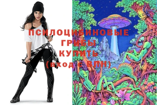 мет Вяземский