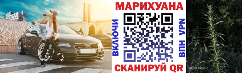 Каннабис Bruce Banner Отрадный